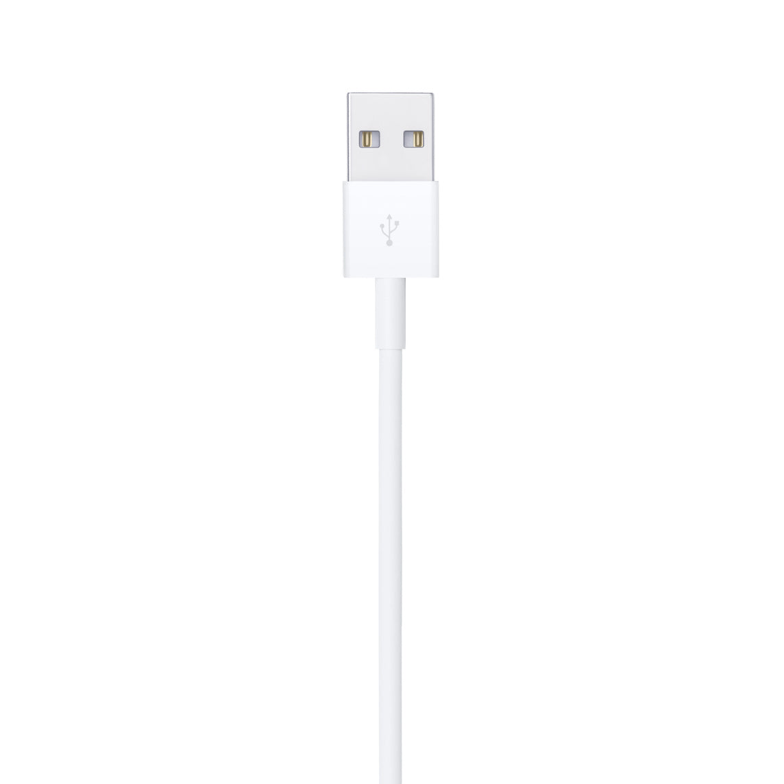 Chargeur iPhone Lightning vers USB –